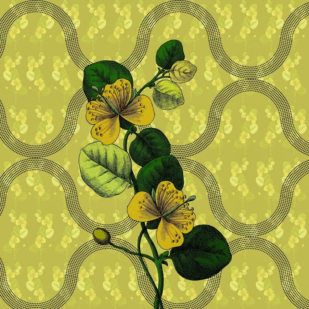 beautiful flowers, flower background, flower wallpaper-7964081.jpg